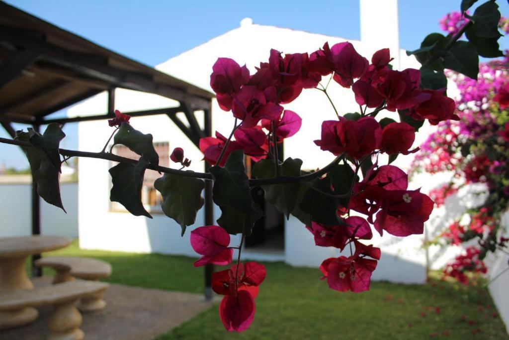 Hacienda Los Majadales Conil De La Frontera Exterior photo